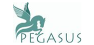 Pegasus Reconstruction Pvt Ltd